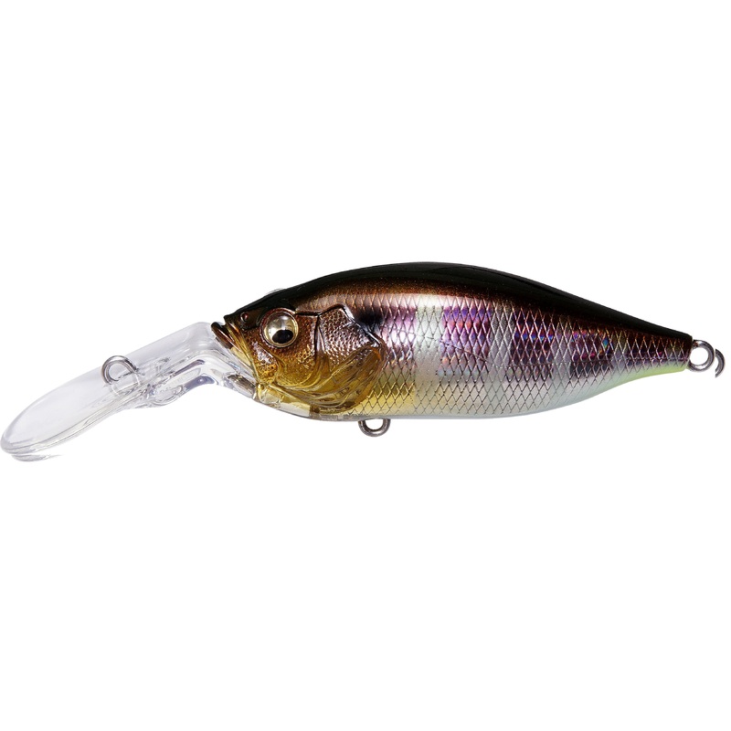 Deep-X 100 LBO|Elegy Bone|GG Bass|GG Gill|GG Megabass Kinkuro|Ghost Hot Tiger|GLX Gill|GP Spawn Killer|Jukucho Pink-JP|Jukucho Shad-JP|M Wakasagi|MB Gizzard|PM Hasu|PM Oikawa (M)|PM Setsuki Ayu|PM Strike Chartreuse|Sexy French Pearl|Wild Craw|Gillko|Strik