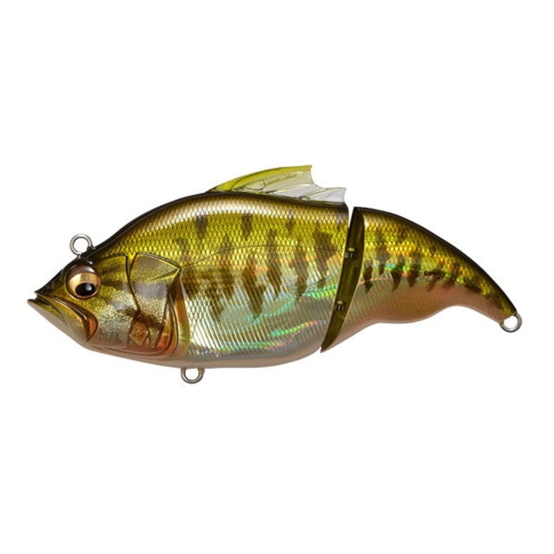 Vatalion|GG Bass|GG Chartreuse Back Gill II|GG Gill|GG Gin Buna|GG Kin Buna|GG Wild Gill|GLX Ito Gill II|GP Ghost Gill-JP|Ito Cichlid|Mat Tiger|SW Chartreuse Back Ghost|SW GG Kohada|SW GP Signal Black|SW M Chartreuse Back Konoshiro|SW M Kohada|SW Mat Clea