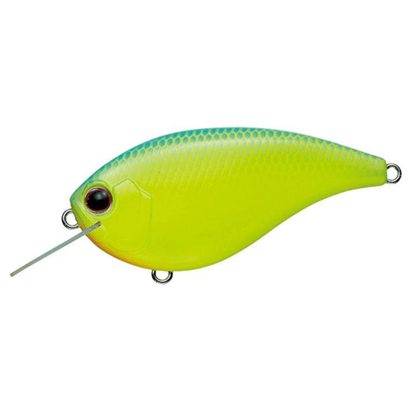 Flat Force|Albino Craw|Blue Back Chartreuse|Citrus Chartreuse|Cold Shad|Fire Craw|Flash Wakasagi|Gray Ghost|King Shad|Layngo|Olive Craw|Panfish|Prespawn Dynamite|Skeleton Pumpkinseed|Smallmouth Bass|Neon Wakasagi|Skeleton Ayu|Queen Shad-JP|Baby Ghost Gill