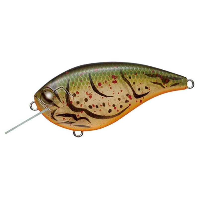 Flat Force|Albino Craw|Blue Back Chartreuse|Citrus Chartreuse|Cold Shad|Fire Craw|Flash Wakasagi|Gray Ghost|King Shad|Layngo|Olive Craw|Panfish|Prespawn Dynamite|Skeleton Pumpkinseed|Smallmouth Bass|Neon Wakasagi|Skeleton Ayu|Queen Shad-JP|Baby Ghost Gill