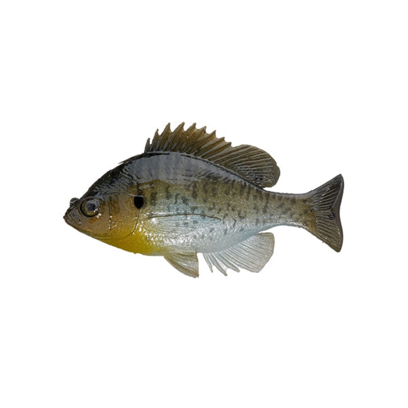 Bluegill Top Hook|Albino|Bluegill|Crappie|Silver Green|ROF 12