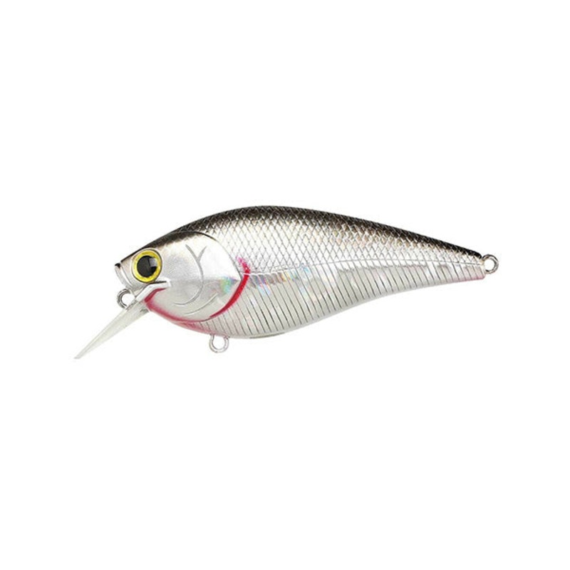 Fat CB BDS 3|BP Golden Shiner|Chartreuse Shad|Pearl Threadfin Shad|Spring Craw|TO Chartreuse|TO Craw|TO Gill|BE Gill|Ghost Minnow|Flake Flake BE Gill|BP Phantom Red Craw|BDS 3