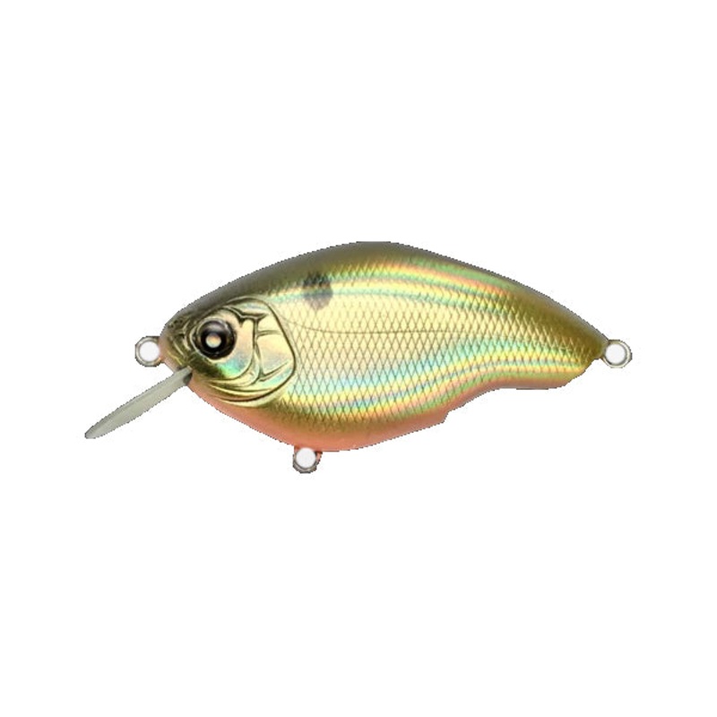 Chippawa RB Silent|Black Back Gold|Black Shad|Bluegill|BPB Chartreuse Shad|BPB Shad|Brown Crawfish|Ghost Shad|Hologram Shad|Matte Hot Tiger|Matte Orange Tiger|Red Crawfish|Swamp Crawfish|RB Silent