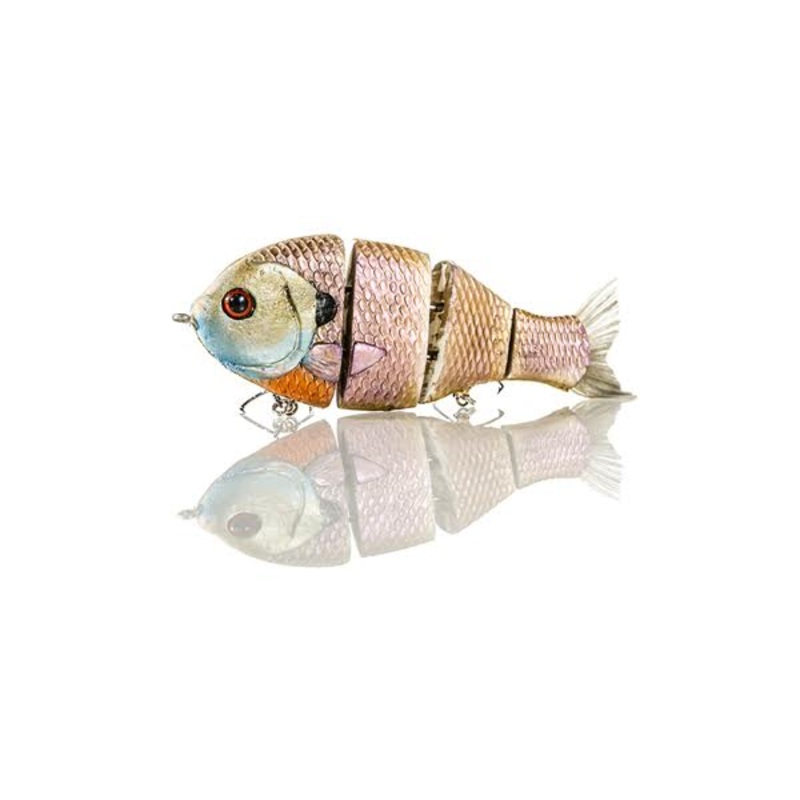 Bull Gill|Blue Gill|Bone|5 inch|6 inch|7 inch
