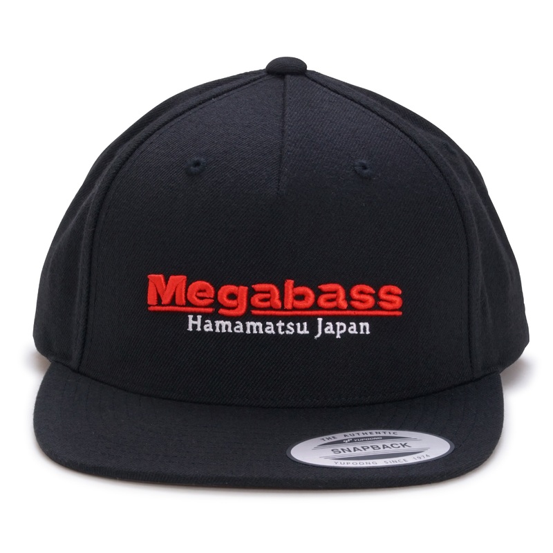 Classic Snapback Hat