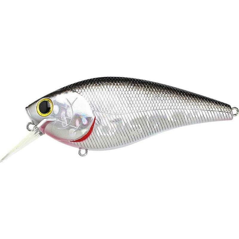 Fat CB BDS 6|BP Golden Shiner|Chartreuse Shad|TO Chartreuse|TO Craw|BDS 6