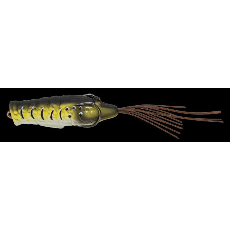Chibi Ebigaeru|See-through Natural Shrimp – E03|Natural Brown – E05|Soft Shell – E13|Black Rush – E17|Pat Green – E18|White Natural Shrimp – E10|Pumpkin Star Shrimp – E08|Lemon Shell – E14|Chibi Ebigaeru