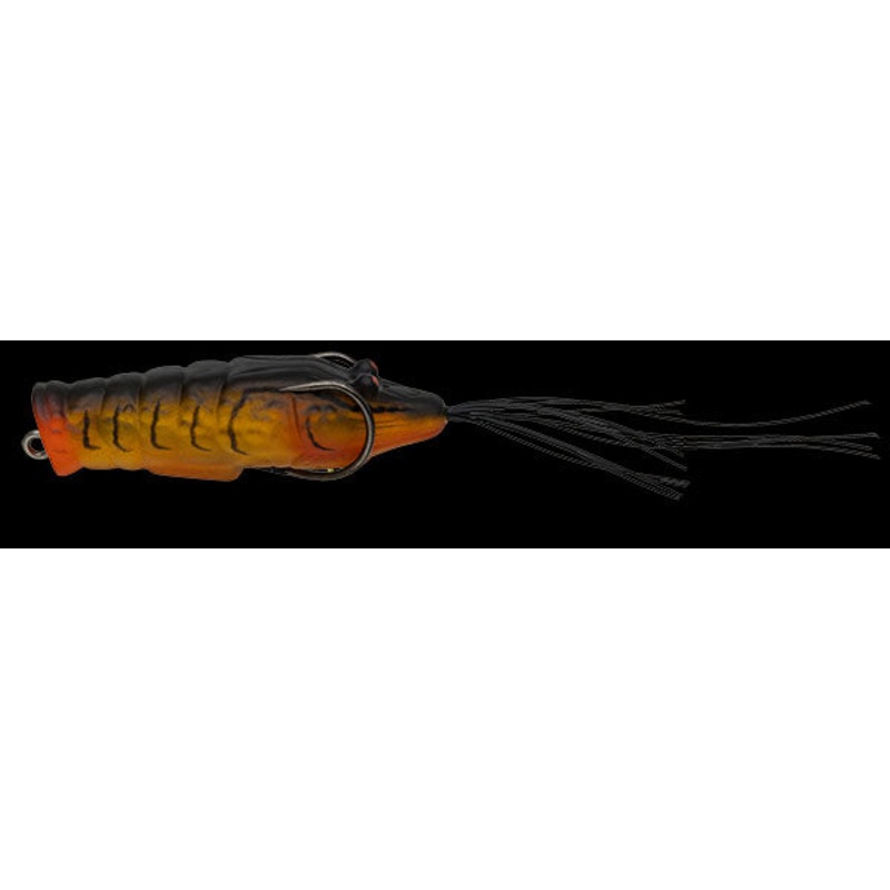 Chibi Ebigaeru|See-through Natural Shrimp – E03|Natural Brown – E05|Soft Shell – E13|Black Rush – E17|Pat Green – E18|White Natural Shrimp – E10|Pumpkin Star Shrimp – E08|Lemon Shell – E14|Chibi Ebigaeru