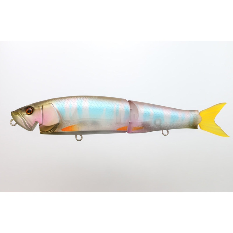 G.C Hasflat 180F|Hasu|Dark Hasu|Natural Chartreuse Back|TS Gold Scale Pink Back|6 inch