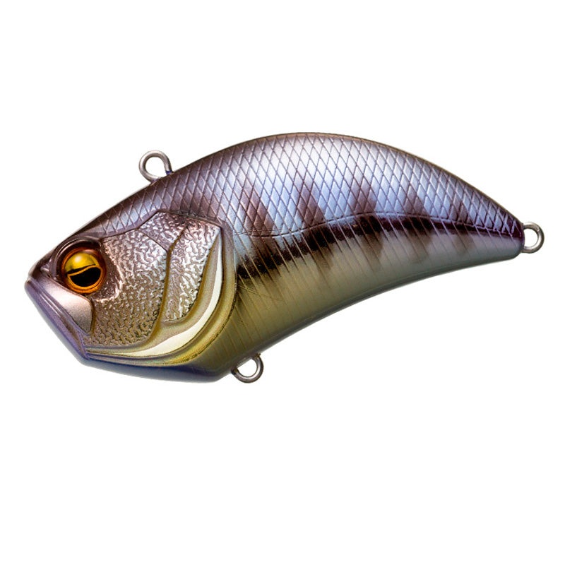 Level Vib|Blue Back Chartreuse|Chi Gill|Bull|Real Kinkuro|Pearl Shad|Clown|Yashizari|Onion Gill|Sukebe Gill|American Yashizari|Lemon Power|Ikeno Mabuna|Pink Back Chartreuse|Level Vib