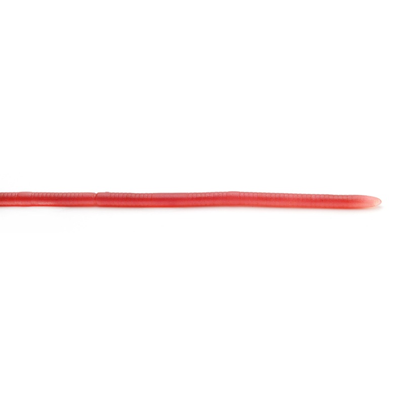 Adustraight Worm|Green Pumpkin Seed|Cream Crawler|Orange Punch|Smoke Shrimp|Scuppernog|Yamamimizu|Sieboldi|12 inch|12 inch Floating