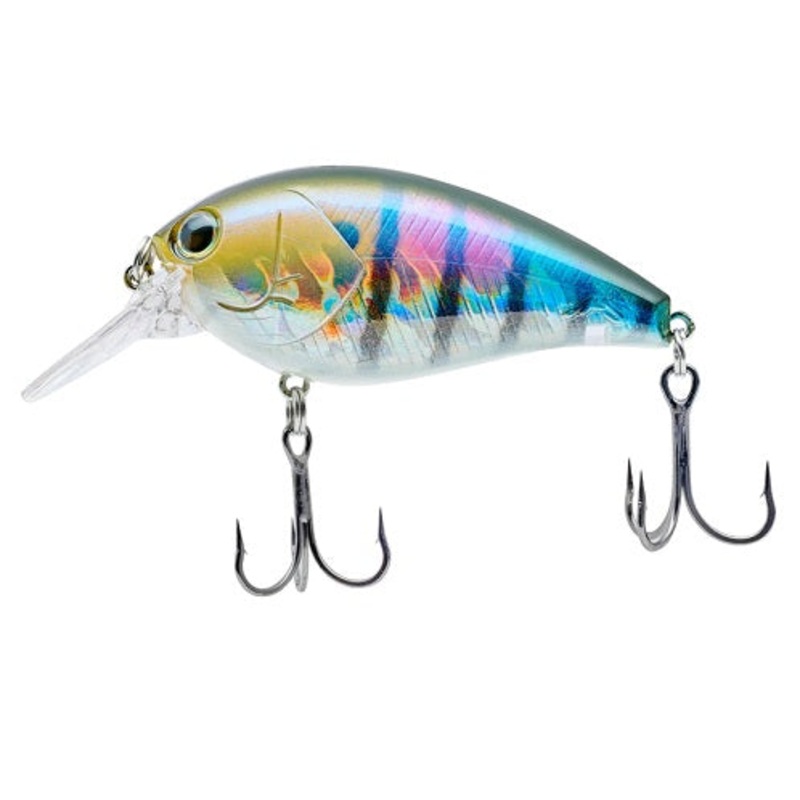 Shot Omega Big 62|Hologram Flashing|Half Mirror Wakasagi|Black Back Chartreuse|Premium Gold|Lime Ayu OB|Shot Omega Big 62