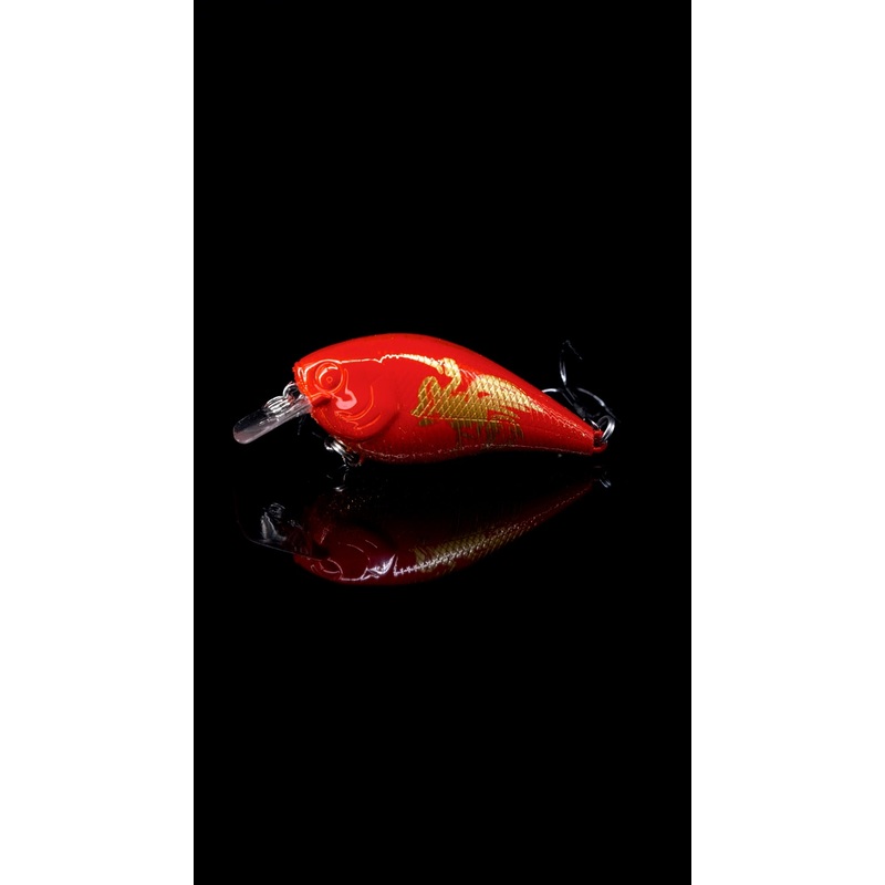 GANBARE HOKURIKU Fundraising Collection