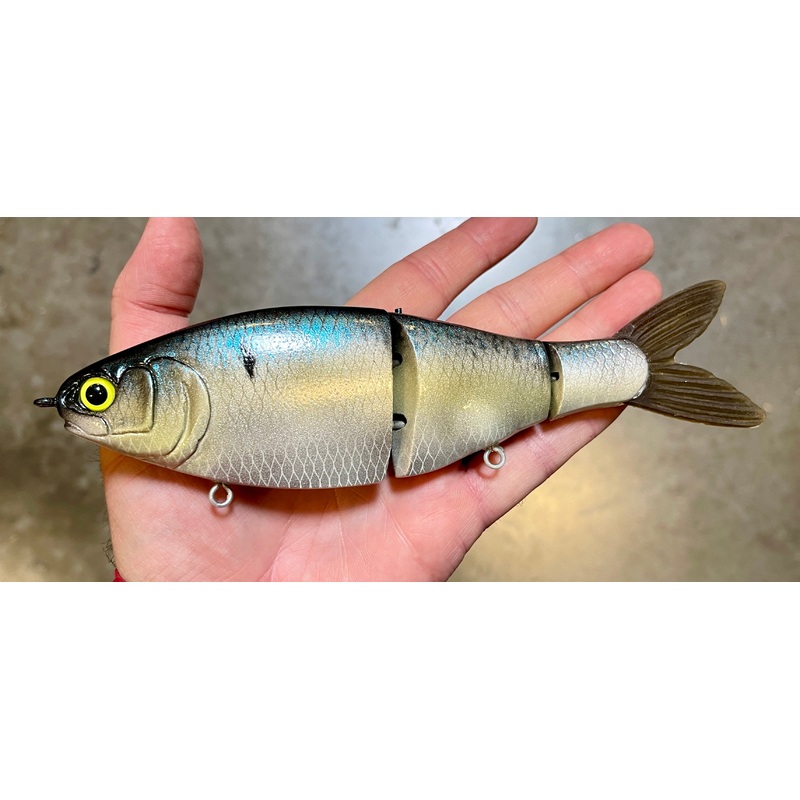 Joey Swimmer|Shiner|Sexy Shad|Purple|Perch|Joey Swimmer