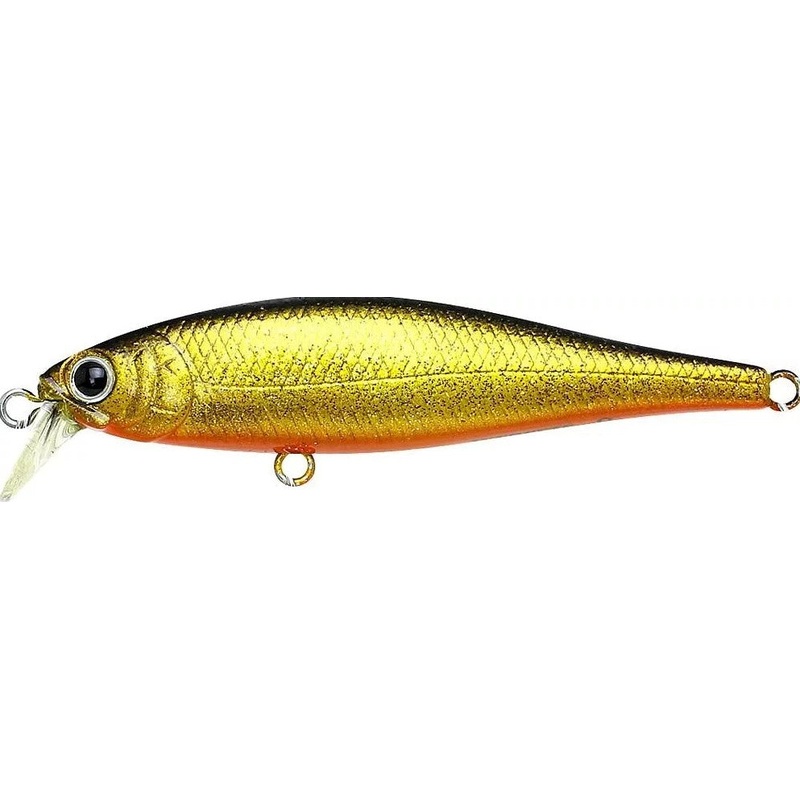 B’Freeze 65SB-S|Plasma Silver Black|Plasma Gold Bait|B’Freeze 65SB-S