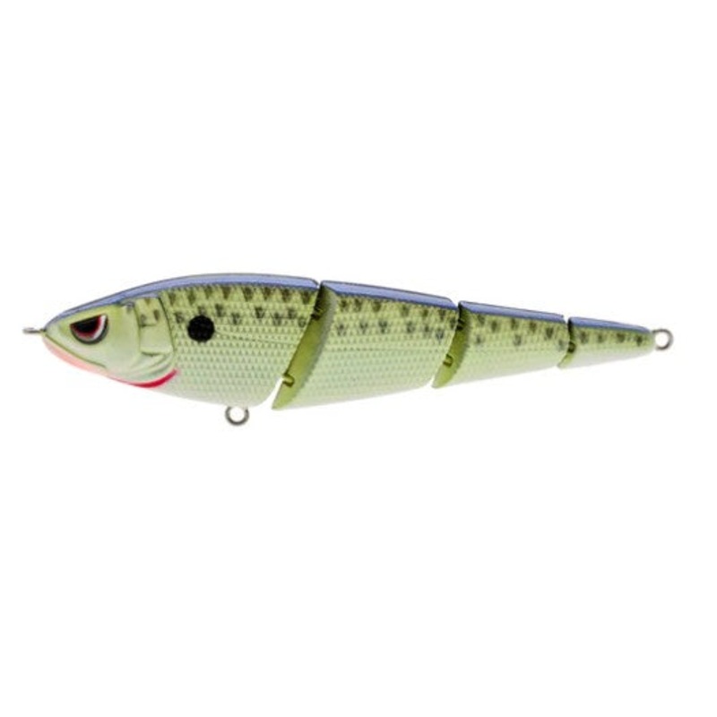 Sashimmy swimmer|Cell Mate|Chrome Olive|Chrome|Clear|Elegy Bone|Killer Gill|Natural Herring|Pearl Shad|Transparent Herring|Transparent Perch|Sashimmy 105|Sashimmy 125