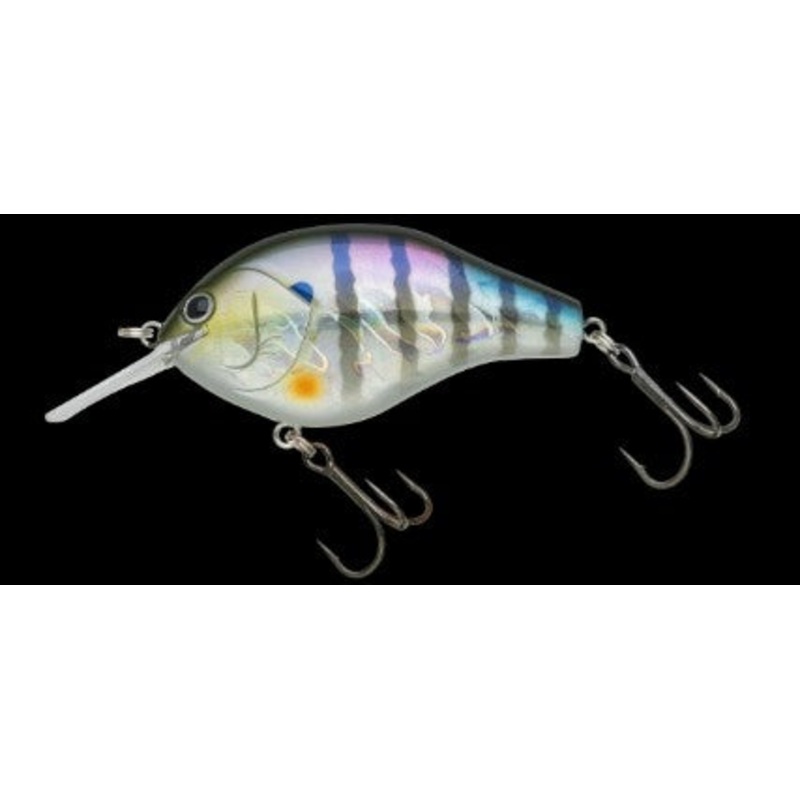 Marunomi Flat 60|Hologram Ayu|Hologram Flashing Gill|Chartreuse Black Shad|Trad Purple Chartreuse|Crystal Aurora Shad|Light Ayu|Banana Attention|Kihada Wakasagi|Decatur Shad|Sour Grape|Marunomi Flat 60