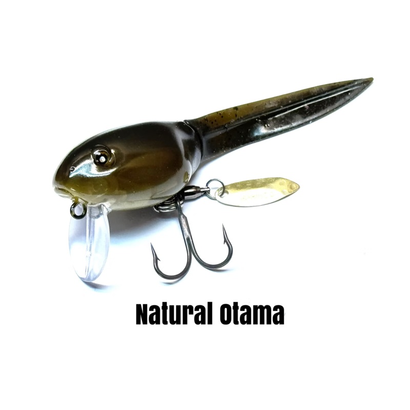BQ Otama|Natural Otama|Clear Otama|Albino Otama|Pearl Flash|Brown Rat|Baby Catfish|BQ Otama