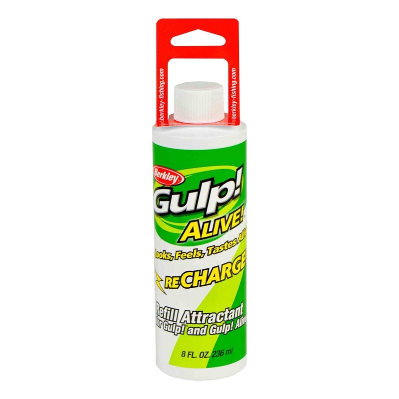 Berkely Gulp Alive Recharge Juice 8oz (236ml)