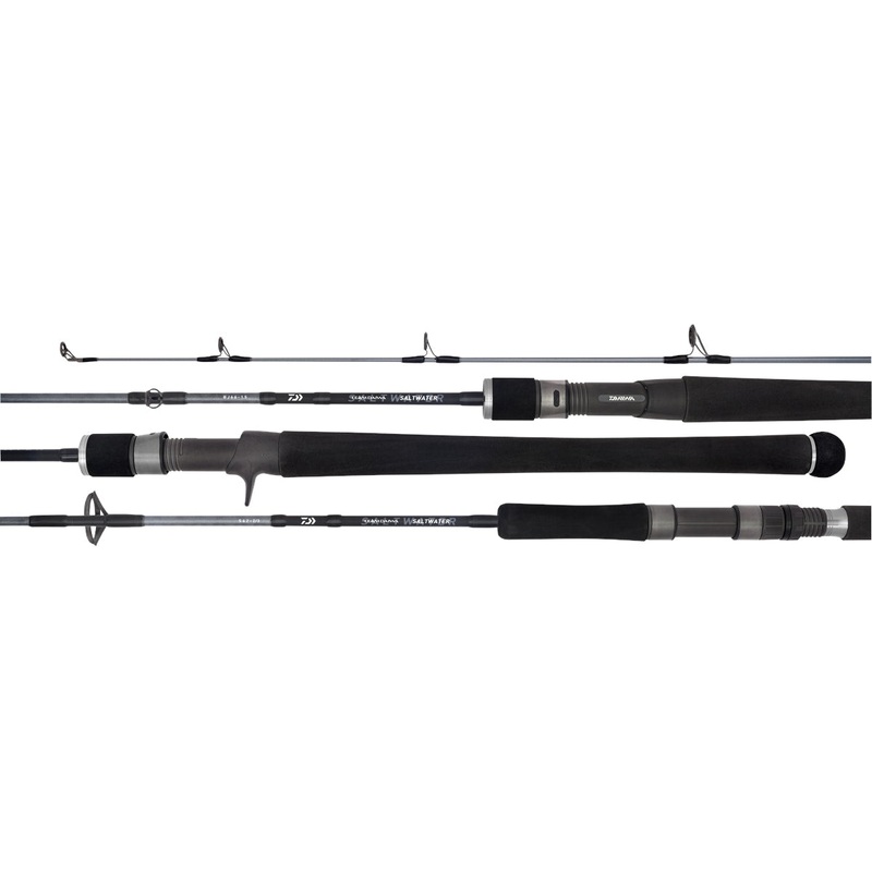 Daiwa 20 TD Saltwater Overhead Fishing Rods