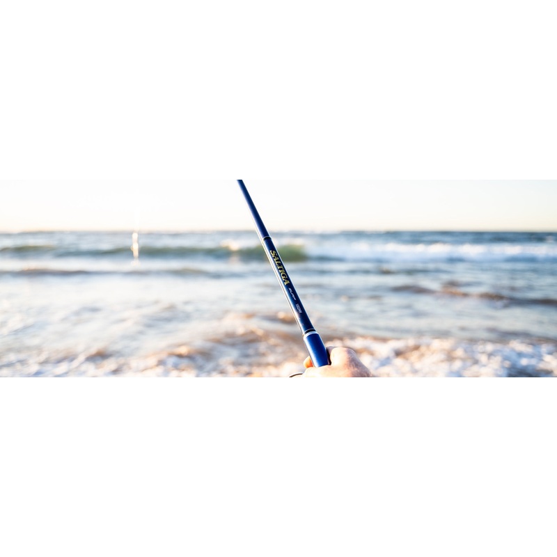 Daiwa 21 Saltiga Surf Spin Fishing Rods