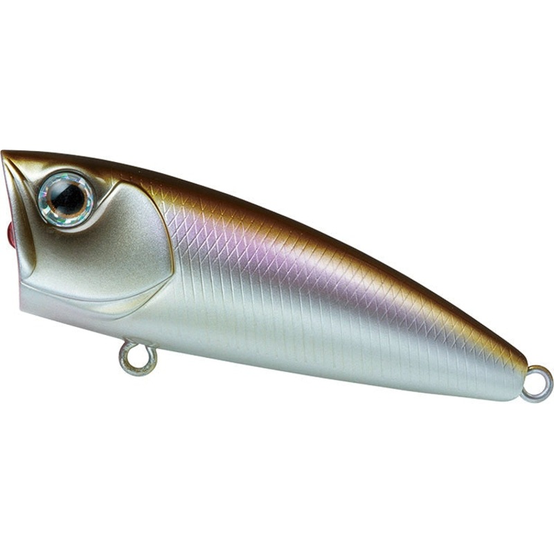 Daiwa Steez Popper Lure|Bone|Black|Perch|Jewel Beetle|Smelt|Ayu|Kurogane|Special Shiner|SGgill|50mm|70mm