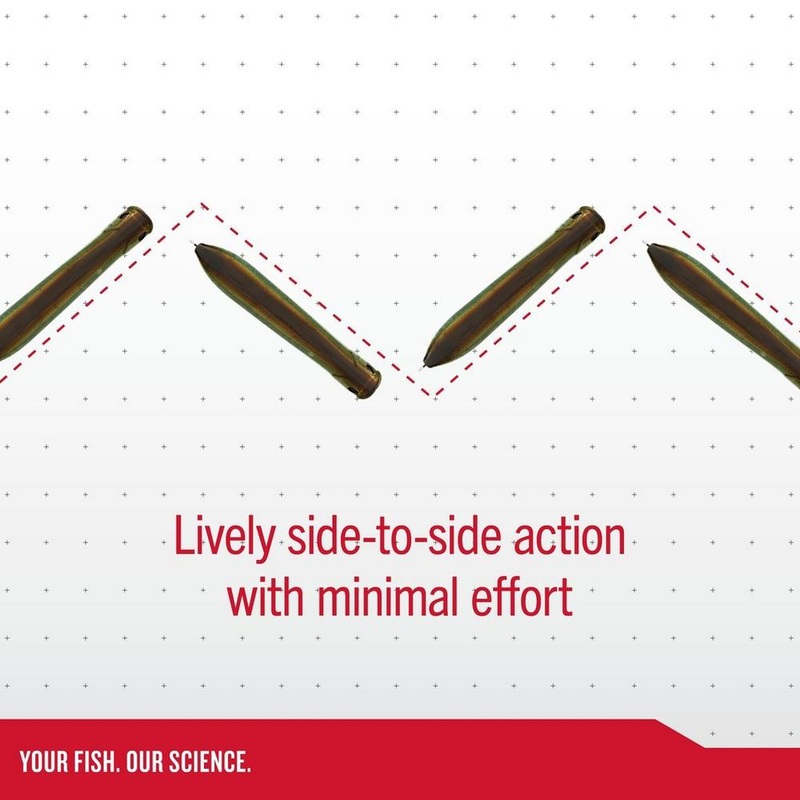 BERKLEY CANE WALKER|Bone 110-4.33″|Bone 125-4.92″|Ghost White 110-4.33″|Ghost White 125-4.92″|CJ Shad 110-4.33″|CJ Shad 125-4.92″|Maverick 110-4.33″|Maverick 125-4.92″|Sexy Back 110-4.33″|Sexy Back 125-4.92″|Olive Shad 110-4.33″|Olive Shad 125-4.92″|Blue