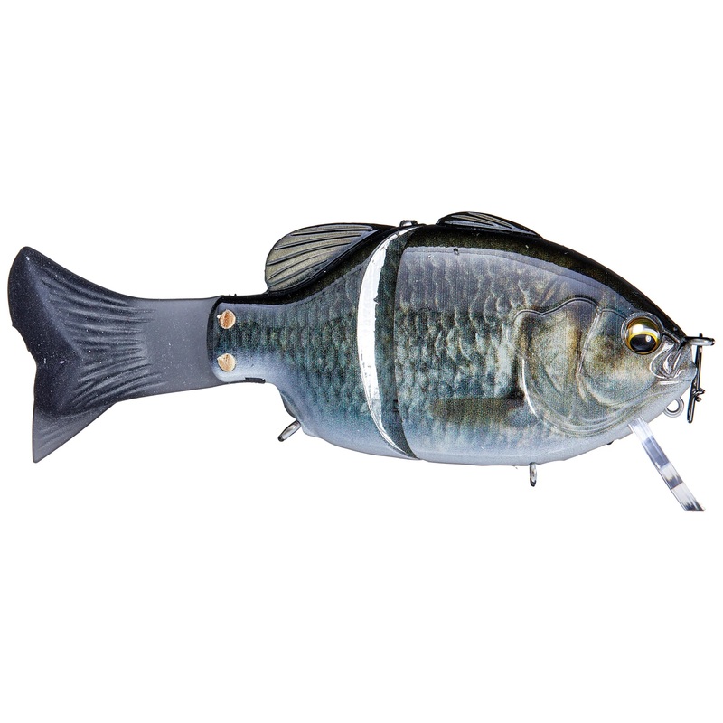 IMAKATSU GILLROID MINNIE|3D Male Gill|3D Ghost Kogill|3D Female Gill|3D Kanbuna Gin