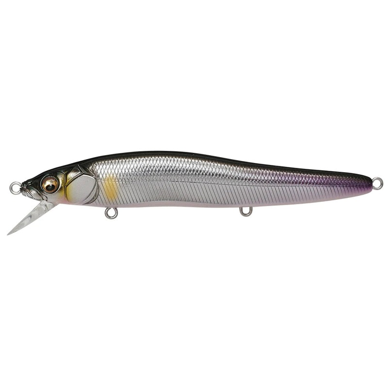 MEGABASS VISION ONE TEN R SERIES