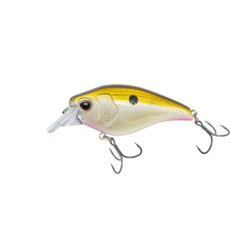 NOMAD DESIGN ATLAS 70 SQUAREBILL CRANKBAIT