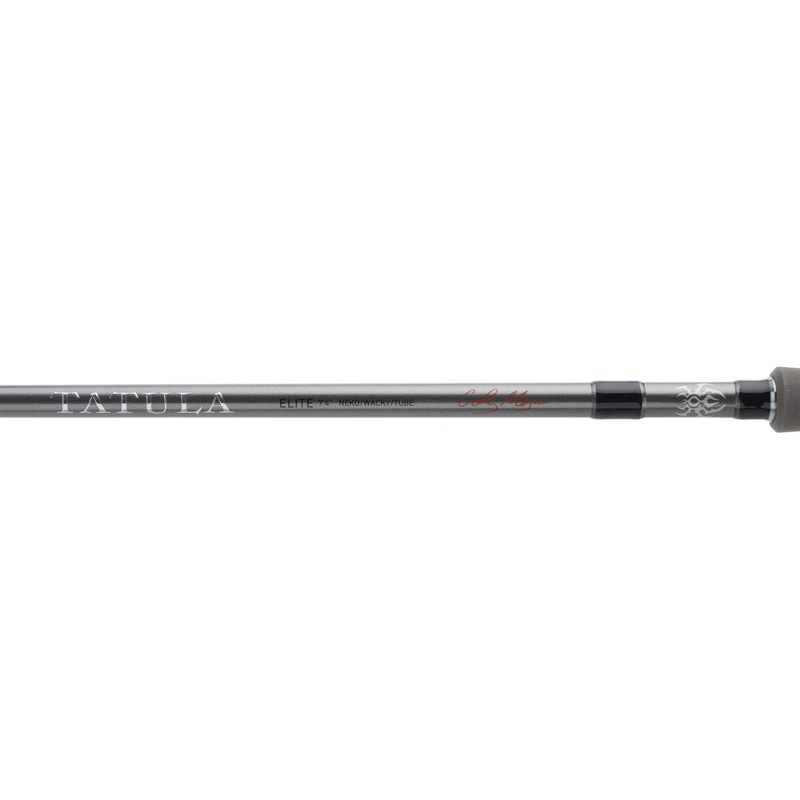 DAIWA 23 TATULA ELITE AGS SPINNING