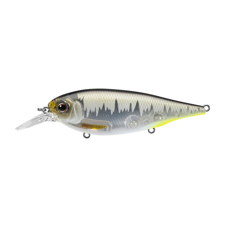 EVERGREEN XV-5|Cold Shad|Flash Hasu|Secret Ghost Chart|Bluegill Chart Belly