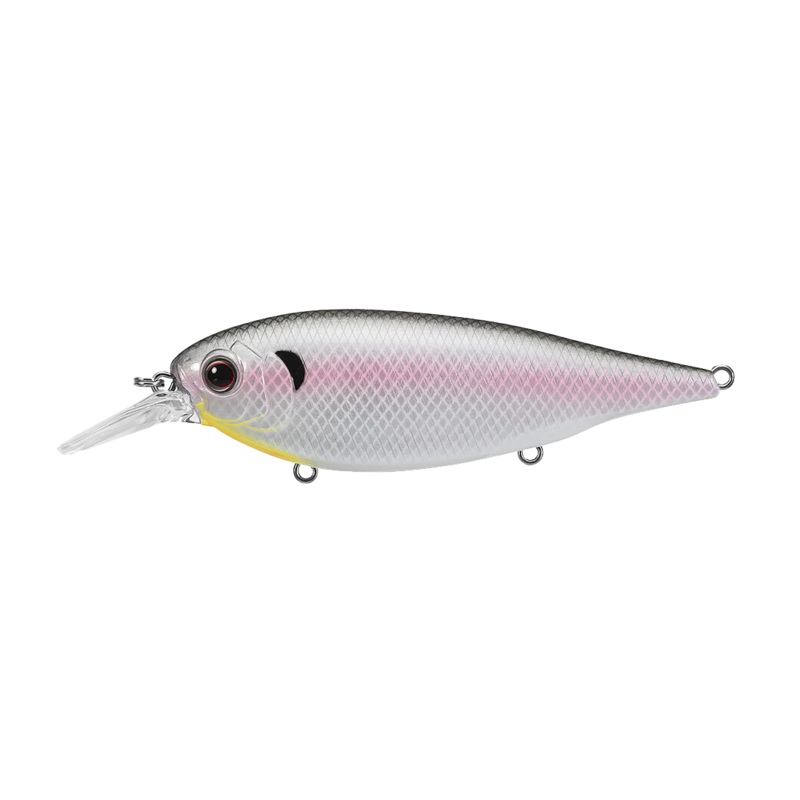 EVERGREEN XV-5|Cold Shad|Flash Hasu|Secret Ghost Chart|Bluegill Chart Belly
