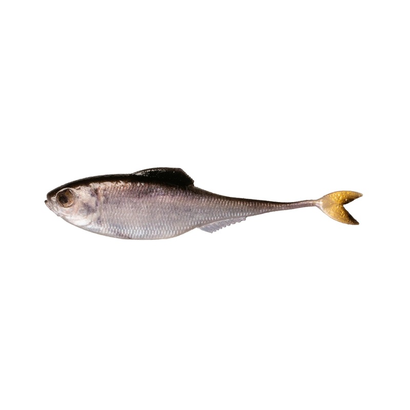 6TH SENSE FICTION SHAD|Live Shad|Ghost Pro Shiner|Live Gizzard Shad|2.2″|3.4″|4.3″