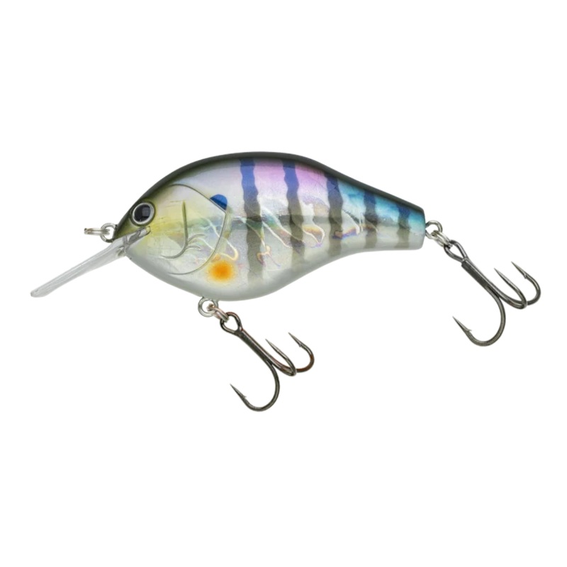 NORIES MARUNOMI FLAT 60||194H Hologram Ayu||207H Hologram Flashing Gill||239 Chart Black Shad||250 Trad Purple Chart||301 Crystal Aurola Ghost||364 Light Ayu||417 Banana Attention||421 Kihada Wakasagi||422 Decatur Shad||447 Sour Grape