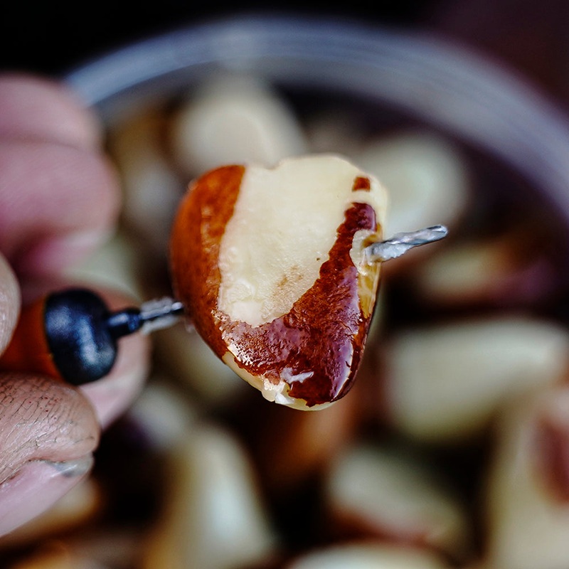 Boosted Brazil Particle Hookbaits