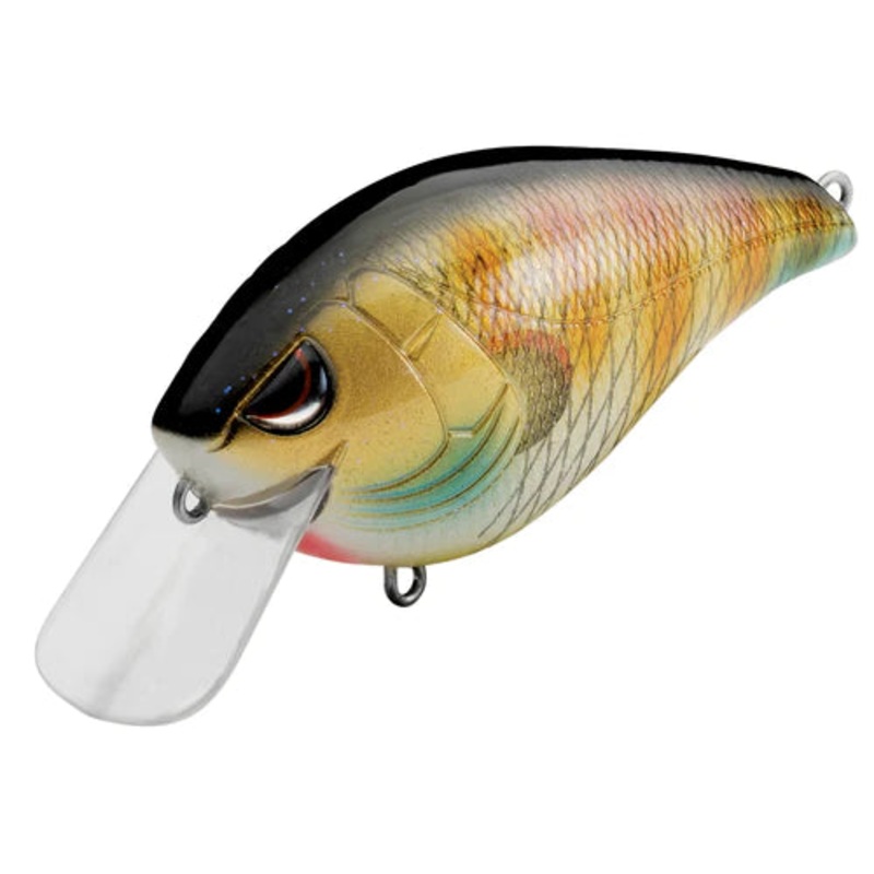 SPRO Hunter Crankbait 65 SB|Bluegill|Chartreuse Black Back|Chartreuse Blue|Citrus Shad|Copper Shad|Nasty Shad|Pumpkin Seed|Rayburn Red|Spring Craw|Fire Craw|Chartreuse Nasty