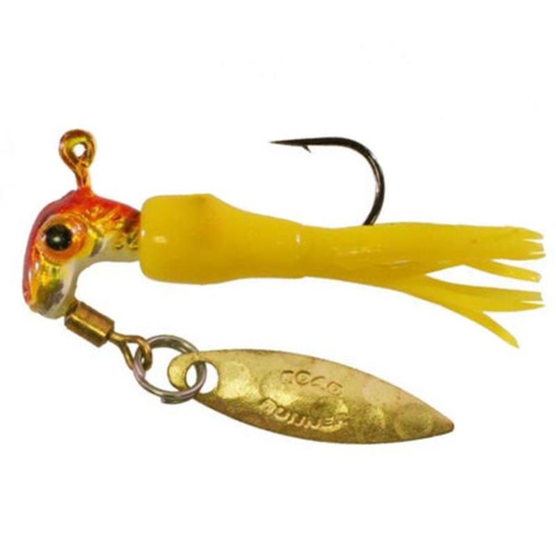 Blakemore Road Runner – Natural Science Series