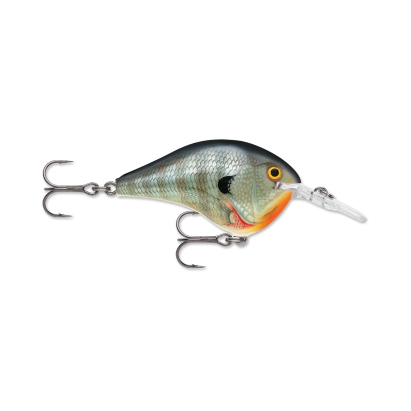 Rapala DT6 Crankbait|Big Shad|Bluegill|Caribbean Shad|Citrus Shad|Demon|Firetiger|Hot Mustard|Perch|Rootbeer Crawdad|Red Crawdad|Silver