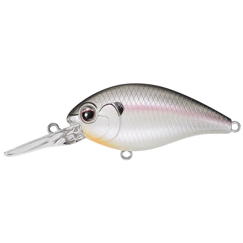 Ever Green Custom Crankbait CR-6