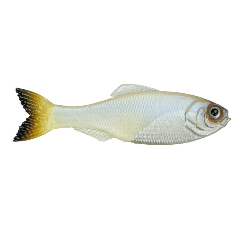 6th Sense Panorama 3.5|Pro Blue Minnow|Live Sunfish|4k Shad|Ghost Minnow