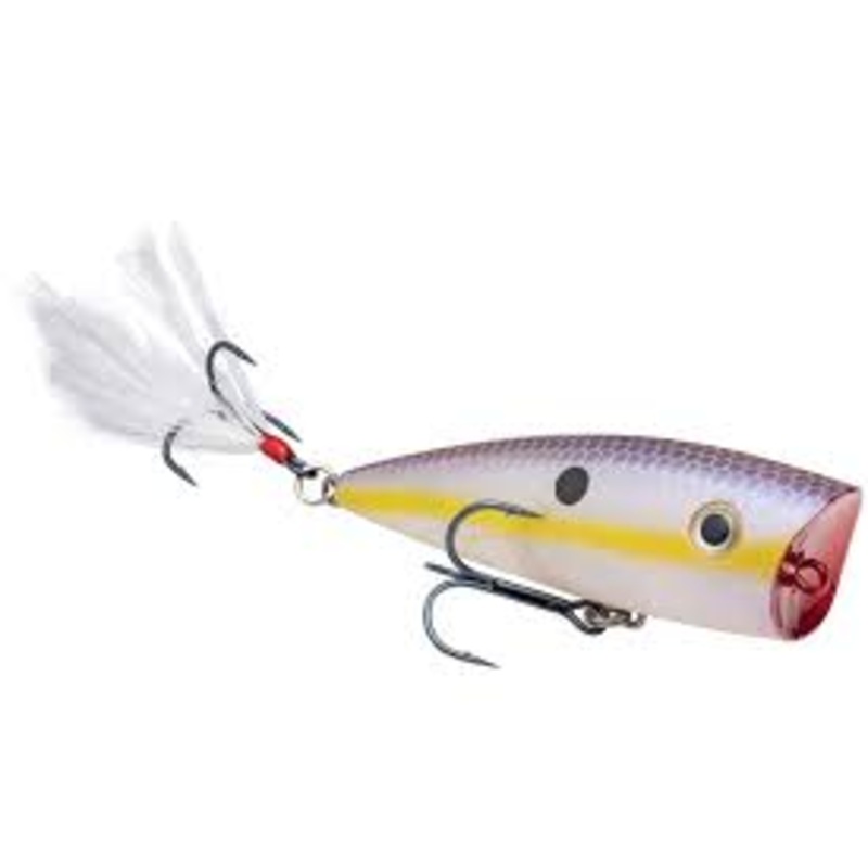 Strike King Kvd Splash Topwater Popper