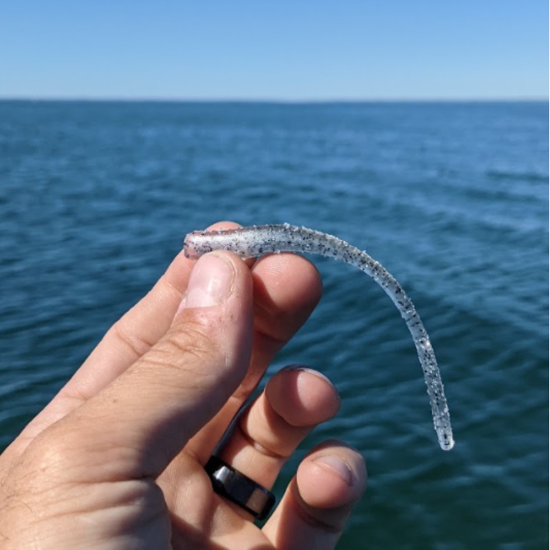 Great Lakes Finesse 4 Drop Worm (8pk)