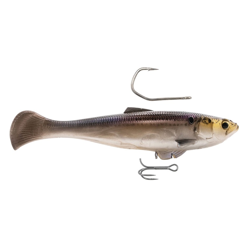 SWAG LT (Available Fall 2025)