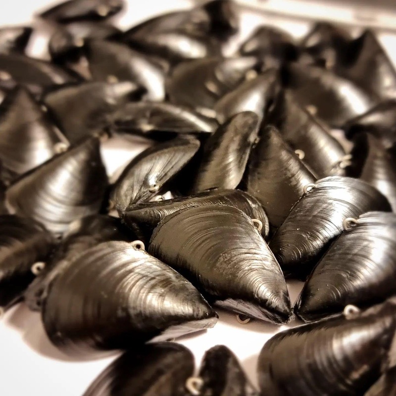 MICRO MUSSEL|Dark Night|Old Pontoon|Ocean Blue|Molten Rock|2.9g|4.4g