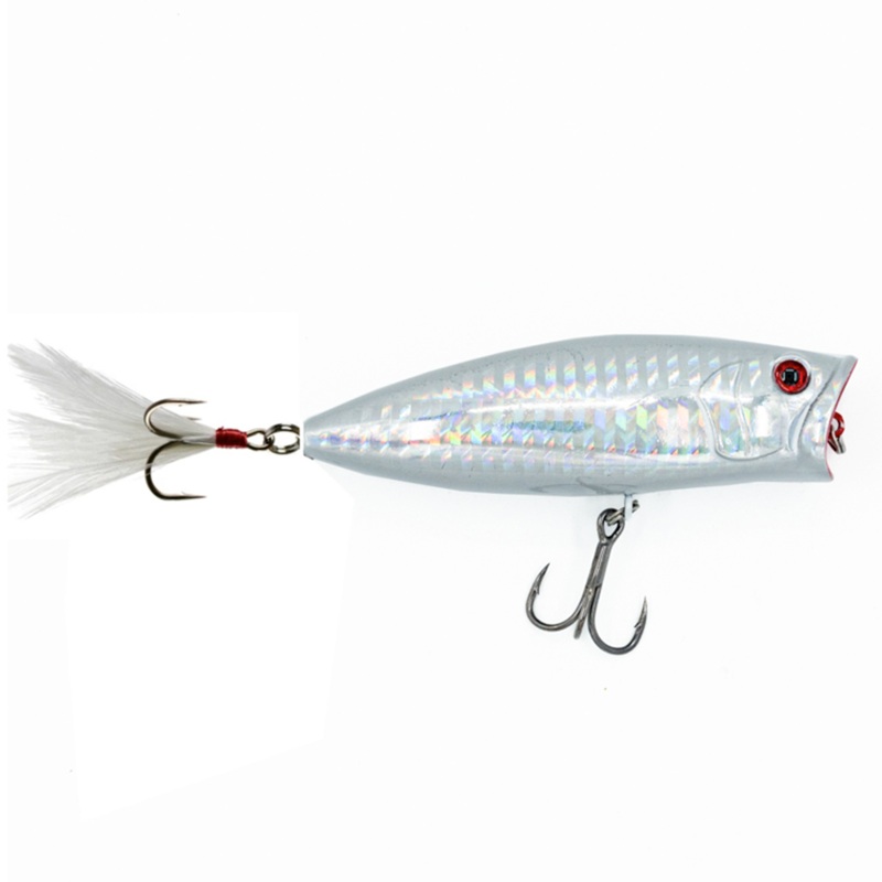 Poppa Chewy Topwater Killa|Casper Shad|5 O’Clock Shadow|What’s Poppin|Shad Master Flex