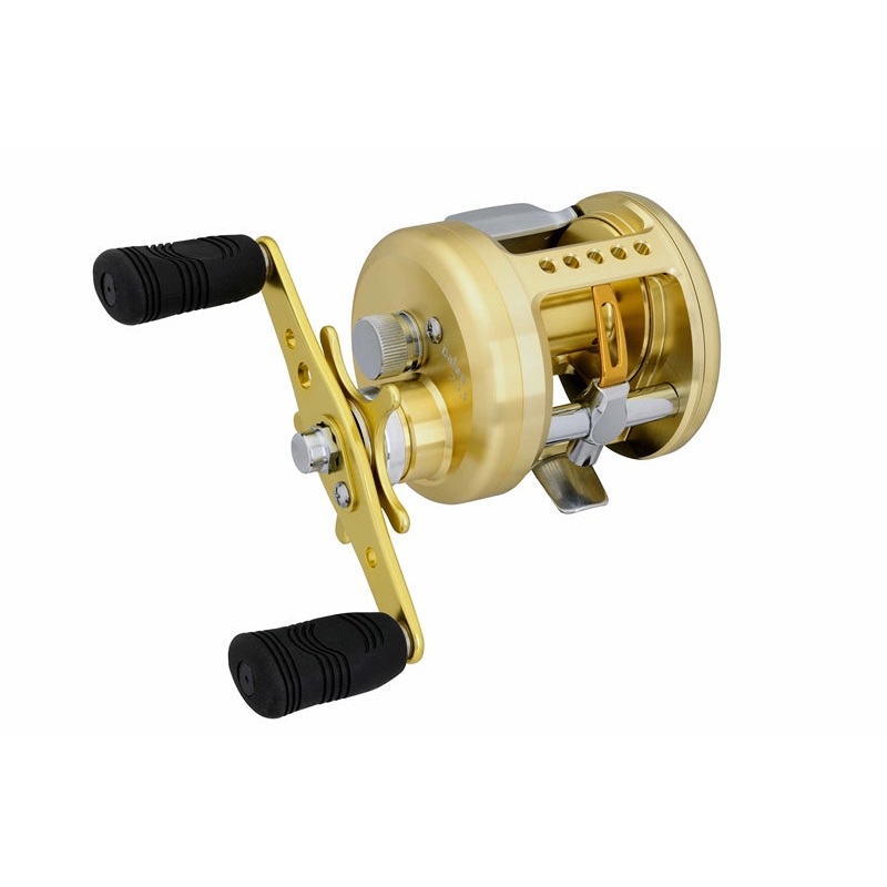 Daiwa TD Luna 300 Baitcast Reel