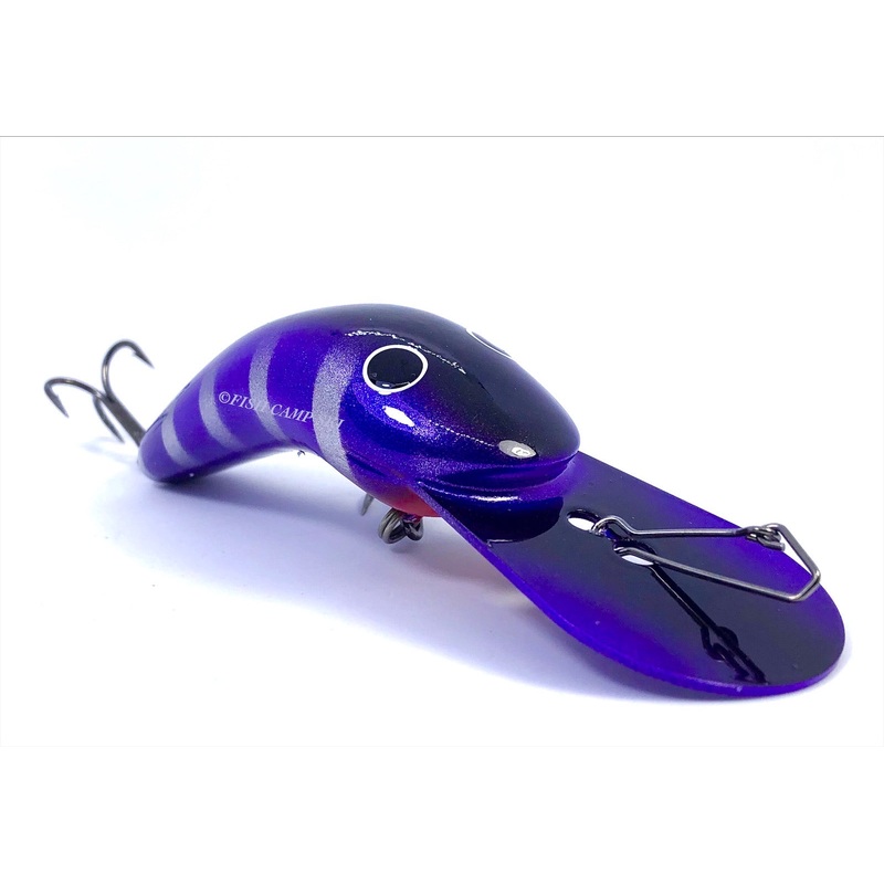 Gidgee Wilbarra Fatty|Perch|Crazy Cray|Hammerhead|Fluro Yellow with Fluro Green Stripe|Pink with Purple Stripe|Orange Fire Tiger|Purple Silver Stripe Black Back|White Black Stripe|Green Fire Tiger