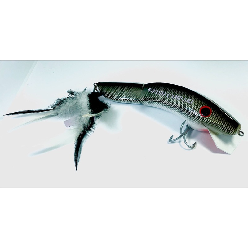 Gidgee Barcoo Wake Up 200mm|Perch|Brown Snake|Black Snake|Green Snake