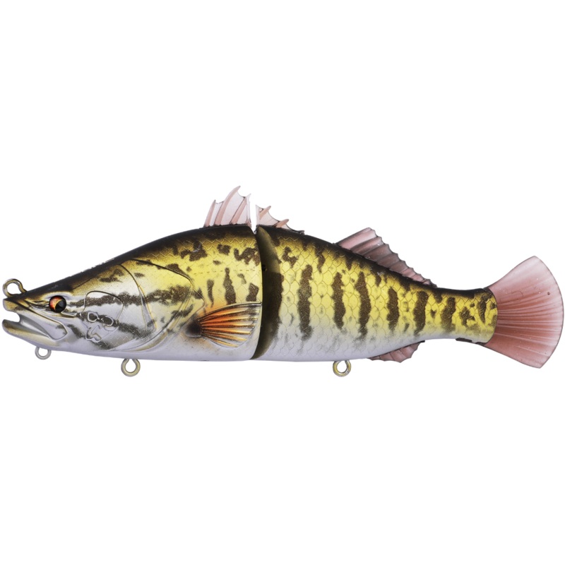 BONE ESPYBARRA 176F|Murray Cod|Carp|Pearl|Royal Stripes|Golden Barra|Smallmouth Bass